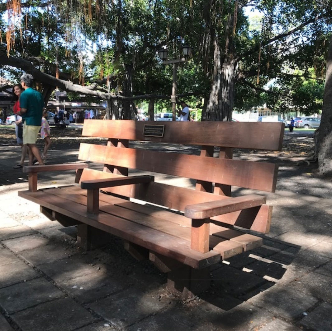 image of memorial bench at the banyan tree in Lahaina