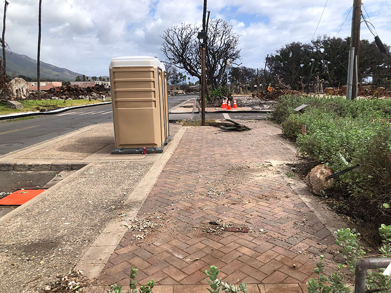 image of area near Lahaina library after trimming.