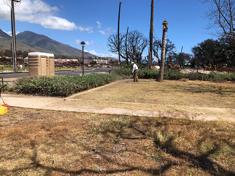 image of worker trimming grass near Lahaina library.